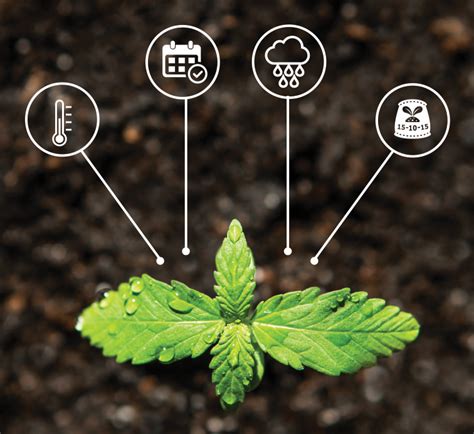 Environment control - Next-generation technology that ensures the perfect climate for your grow room, every time. Thrive Cultivation Control System empowers indoor cultivation professionals with modern controls centralized in one intuitive interface. Our experienced team designs solutions custom-tailored to each facility with mechanical expertise and industry insight.